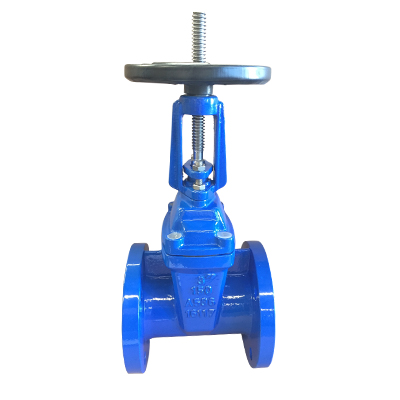 Rising Resilient Seated Gate Valve ANSI125/150