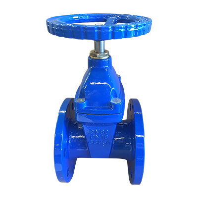 Resilient Seated Gate Valve w/brass gland DIN3352 F
